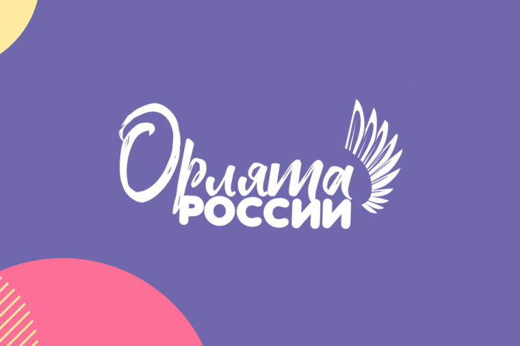 Орлята России заботятся о птицах.